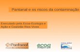 Executado pela Ecoa-Ecologia e Ação e Coalizão Rios Vivos Pantanal e os riscos da contaminação.