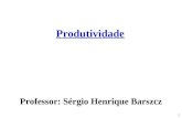 1 Produtividade Professor: Sérgio Henrique Barszcz.