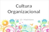 Cultura Organizacional Cap. 13 - Maximiano. O que é CULTURA para você?