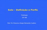 Solo – Definição e Perfis Pedologia GF 508 Prof. Dr. Francisco Sergio Bernardes Ladeira.