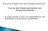 Curso de Especialização em Processo Penal A ação penal e civil. A competência. As questões e processos incidentes.