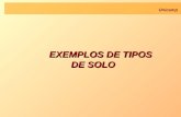 Unicamp EXEMPLOS DE TIPOS DE SOLO EXEMPLOS DE TIPOS DE SOLO.