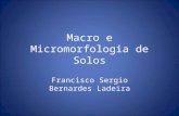 Macro e Micromorfologia de Solos Francisco Sergio Bernardes Ladeira.