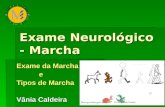 Exame Neurológico - Marcha Exame da Marcha e Tipos de Marcha Vânia Caldeira.