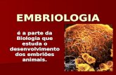 EMBRIOLOGIA é a parte da Biologia que estuda o desenvolvimento dos embriões animais.