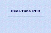 Real-Time PCR. Cockerill FR III. Arch Pathol Lab Med. 2003;127:1112.