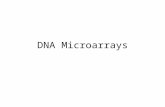 DNA Microarrays. O que é DNA Microarray? Também conhecido como chip de DNA Permite a medida do nível de transcrição de cada gene no genoma (expressão.