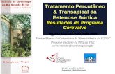 Tratamento Percutâneo & Transapical da Estenose Aórtica Resultados do Programa CoreValve Rogério Sarmento-Leite, MD, PhD Diretor Técnico do Laboratório.
