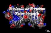 Produção de Proteínas Recombinantes. O que são proteínas recombinantes? São proteínas produzidas artificialmente a partir de genes clonados. Isto é, advêm.