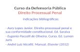 Curso da Defensoria Pública Direito Processual Penal Indicações bibliográficas: - Aury Lopes Junior. Direito processual penal e sua conformidade constitucional.