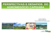 PERSPECTIVAS E DESAFIOS DO AGRONEGÓCIO CAPIXABA Gilmar Dadalto Subsecretário de Desenvolvimento Agropecuário OPORTUNIDADES E DESAFIOS OPORTUNI DADGGES.