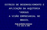 ESTÁGIO DE DESENVOLVIMENTO E APLICAÇÃO DA AUDITORIA VERSUS A VISÃO EMPRESARIAL NO BRASIL Prof. Jerônimo Antunes 8 de Julho de 2005.