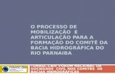 O PROCESSO DE MOBILIZAÇÃO E ARTICULAÇÃO PARA A FORMAÇÃO DO COMITÊ DA BACIA HIDROGRÁFICA DO RIO PARNAIBA FONASC.CBH/ FÓRUM NACIONAL DA SOCIEDADE CIVIL NOS.