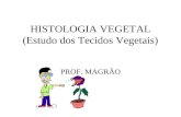HISTOLOGIA VEGETAL (Estudo dos Tecidos Vegetais) PROF. MAGRÃO.