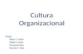 Cultura Organizacional Grupo: Eliseu T. Júnior Felipe S. Alves Fernando Nass Giovana T. Dias.