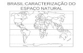 BRASIL:CARACTERIZAÇÃO DO ESPAÇO NATURAL. BRASIL NA AMÉRICA DO SUL.