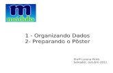 1 - Organizando Dados 2- Preparando o Pôster Profª Lorena Pinto Salvador, outubro 2011.