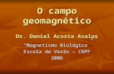 O campo geomagnético Dr. Daniel Acosta Avalos Magnetismo Biológico Escola de Verão – CBPF 2006.