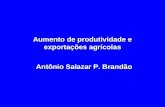 Aumento de produtividade e exportações agrícolas Antônio Salazar P. Brandão.