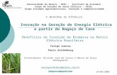 Inovação na Geração de Energia Elétrica a partir do Bagaço de Cana Universidade do Brasil - UFRJ - Instituto de Economia Grupo de Estudos do Setor Elétrico.