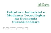 Estrutura Industrial e Mudança Tecnológica na Economia Sucroalcooleira Prof. Maria da Graça D. Fonseca (IE-UFRJ) Charles Ménard Costa (Consultor Infosucro)