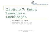 Capitulo 7: Setor, Tamanho e Localização Paulo Bastos Tigre Economia da Inovação Paulo Tigre. Gestão da Inovação Ed.Elsevier.