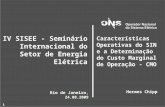 11 IV SISEE - Seminário Internacional do Setor de Energia Elétrica Hermes Chipp Rio de Janeiro, 24.08.2009 Características Operativas do SIN e a Determinação.