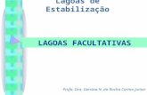 Lagoas de Estabiliza§£o Profa. Dra. Gersina N. da Rocha Carmo Junior LAGOAS FACULTATIVAS