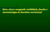 Boro, zinco e manganês: mobilidade, funções e sintomatologia de desordens nutricionais.