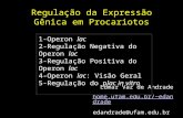 Regulação da Expressão Gênica em Procariotos Edmar Vaz de Andrade home.ufam.edu.br/~edandrade edandrade@ufam.edu.br 1-Operon lac 2-Regulação Negativa do.