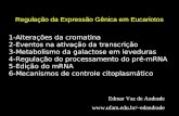 Regulação da Expressão Gênica em Eucariotos Edmar Vaz de Andrade edandrade 1-Alterações da cromatina 2-Eventos na ativação da transcrição.