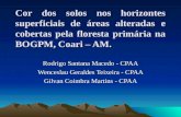 Cor dos solos nos horizontes superficiais de áreas alteradas e cobertas pela floresta primária na BOGPM, Coari – AM. Rodrigo Santana Macedo - CPAA Wenceslau.