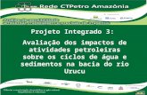 Projeto Integrado 3: Avaliação dos impactos de atividades petroleiras sobre os ciclos de água e sedimentos na bacia do rio Urucu.
