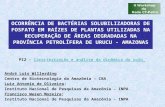 André Luis Willerding Centro de Biotecnologia da Amazônia – CBA Luiz Antonio de Oliveira; Instituto Nacional de Pesquisas da Amazônia – INPA Francisco.
