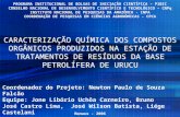 CARACTERIZAÇÃO QUÍMICA DOS COMPOSTOS ORGÂNICOS PRODUZIDOS NA ESTAÇÃO DE TRATAMENTOS DE RESÍDUOS DA BASE PETROLÍFERA DE URUCU Manaus - 2006 PROGRAMA INSTITUCIONAL.