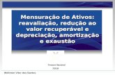 Mensuração de Ativos: reavaliação, redução ao valor recuperável e depreciação, amortização e exaustão Tesouro Nacional 2010 Welinton Vitor dos Santos.