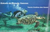 Estudo do Estado Gasoso Mergulhadora e tartaruga acima de um recife de corais nas ilhas Caimã Teoria Cinética dos Gases.
