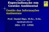 Gestão das Informações Ambientais Prof. Daniel Rigo, M.Sc., D.Sc. rigo@npd.ufes.br DEA - CT - UFES Curso de Especialização em Gestão Ambiental.
