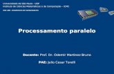 Processamento paralelo PAE: Julio Cesar Torelli Docente: Prof. Dr. Odemir Martinez Bruno Universidade de São Paulo - USP Instituto de Ciências Matemáticas.