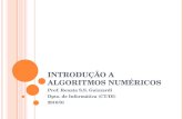 INTRODUÇÃO A ALGORITMOS NUMÉRICOS Prof. Renata S.S. Guizzardi Dpto. de Informática (CT/DI) 2010/01.