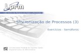 Sincronização de Processos (3) Exercícios - Semáforos.