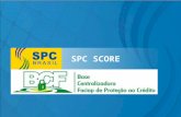 SPC SCORE. Produto baseado em metodologia estatística que apura a chance do consumidor consultado ficar inadimplente (SPC, Cheque Lojista e/ou CCF) nos.