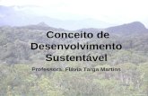 Conceito de Desenvolvimento Sustentável Professora: Flávia Targa Martins.