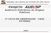 X Auditoria Eletrônica de Órgãos Públicos 1º CICLO DE ORIENTAÇÃO – FASE EXTERNA 2005 TRIBUNAL DE CONTAS DO ESTADO DE SÃO PAULO PROJETO.