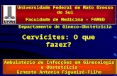 Cervicites: O que fazer? Universidade Federal de Mato Grosso do Sul Faculdade de Medicina - FAMED Departamento de Gineco-Obstetrícia Ambulatório de Infecções.