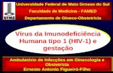 Vírus da Imunodeficiência Humana tipo 1 (HIV-1) e gestação Ambulatório de Infecções em Ginecologia e Obstetrícia Ernesto Antonio Figueiró-Filho Universidade.
