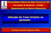 Infecção do Trato Urinário na gestação Universidade Federal de Mato Grosso do Sul Faculdade de Medicina - FAMED Departamento de Gineco-Obstetrícia Ernesto.