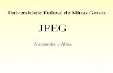1 Universidade Federal de Minas Gerais JPEG Alessandra e Aline.
