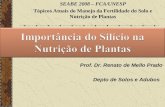 Prof. Dr. Renato de Mello Prado Depto de Solos e Adubos SEABE 2008 – FCA/UNESP Tópicos Atuais do Manejo da Fertilidade do Solo e Nutrição de Plantas.