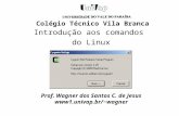 Colégio Técnico Vila Branca Introdução aos comandos do Linux Prof. Wagner dos Santos C. de Jesus wagner.